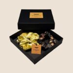 rink.dvi.ruda.orchideja2