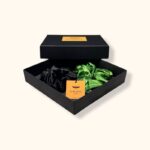 Šilkinių gumelių rinkinys žali lapeliai